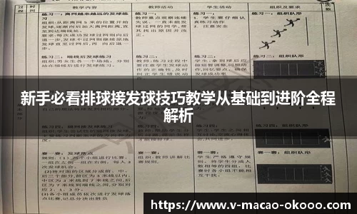 新手必看排球接发球技巧教学从基础到进阶全程解析