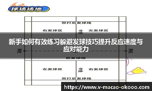 新手如何有效练习躲避发球技巧提升反应速度与应对能力